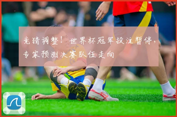 竞猜调整！世界杯冠军投注暂停，专家预测决赛队伍走向