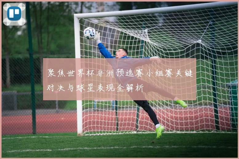 聚焦世界杯非洲预选赛小组赛关键对决与球星表现全解析