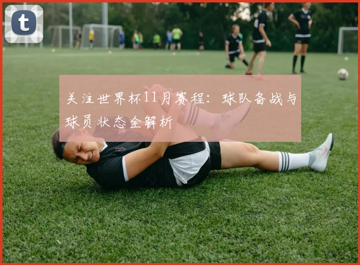 关注世界杯11月赛程：球队备战与球员状态全解析