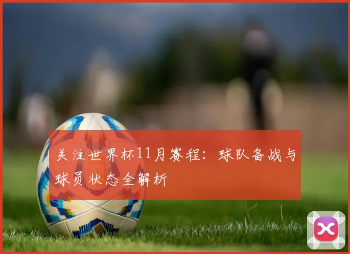 关注世界杯11月赛程：球队备战与球员状态全解析