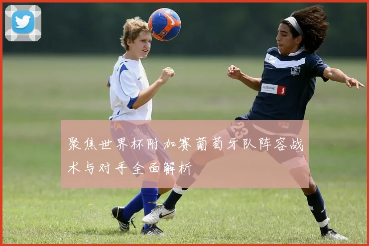 聚焦世界杯附加赛葡萄牙队阵容战术与对手全面解析