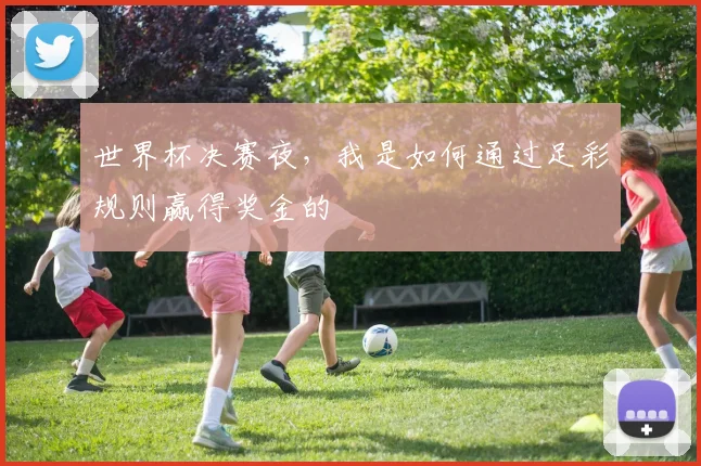 世界杯决赛夜,我是如何通过足彩规则赢得奖金的