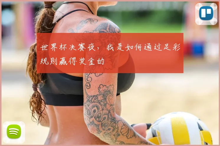 世界杯决赛夜,我是如何通过足彩规则赢得奖金的