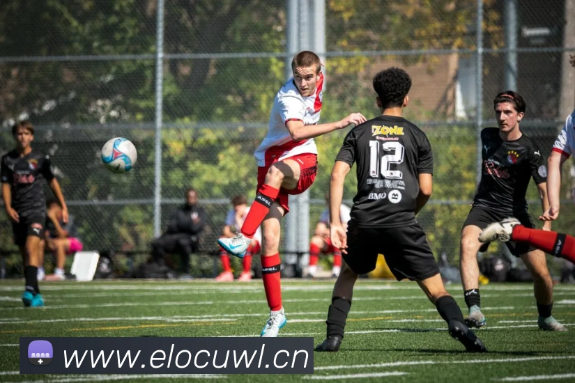 开云kaiyun体育app注册流程服务体系